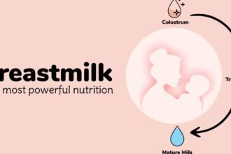 Getting to Know the Three Phases of Breast Milk